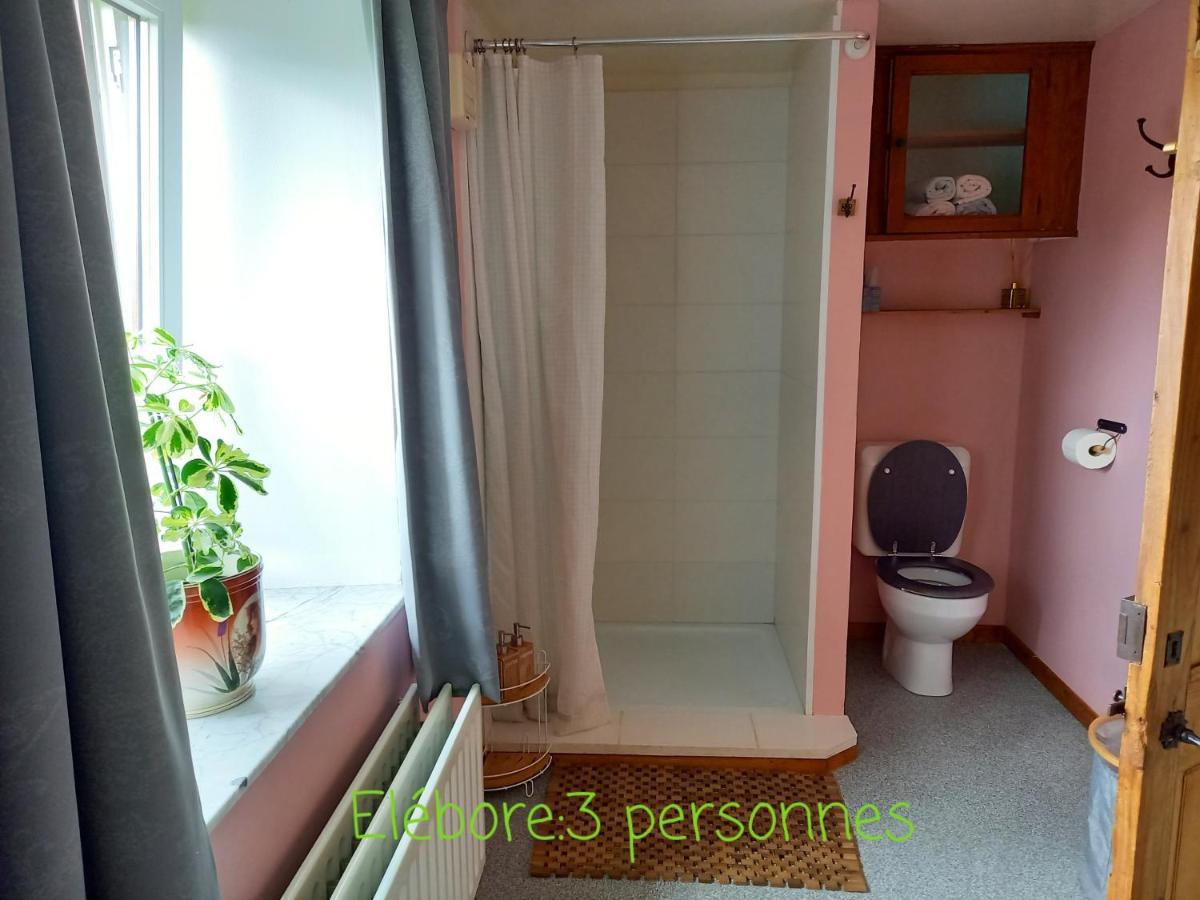Apartament Le Wayai Sart-lez-Spa Zewnętrze zdjęcie